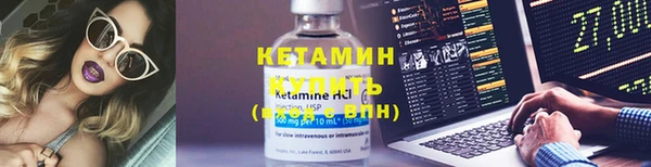 прущие грибы Ахтубинск