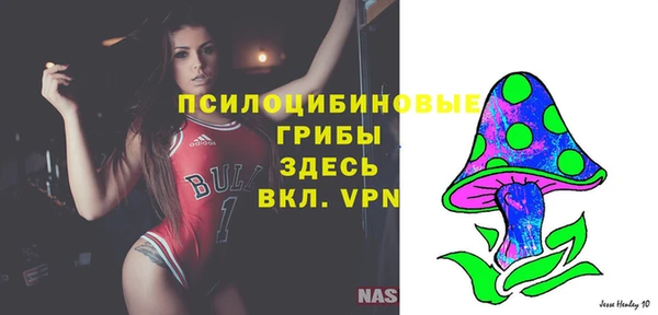 прущие грибы Ахтубинск