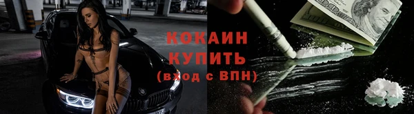 шишки Бабаево