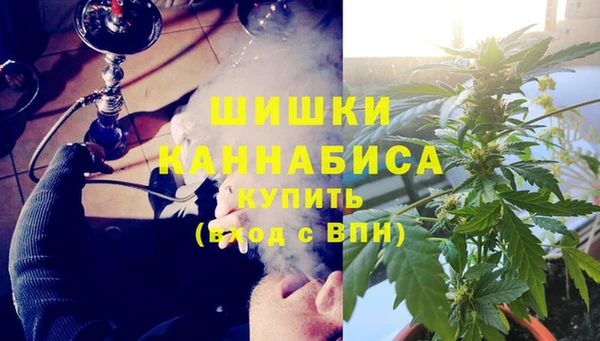 твердый Новодвинск