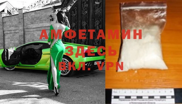 прущие грибы Ахтубинск