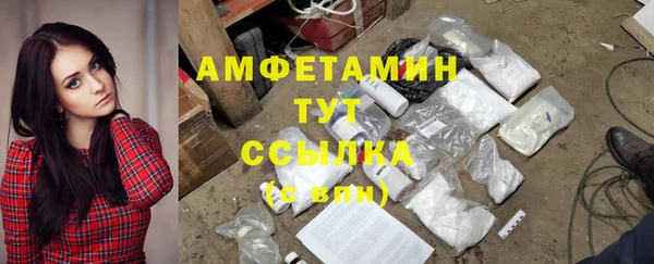 шишки Бабаево