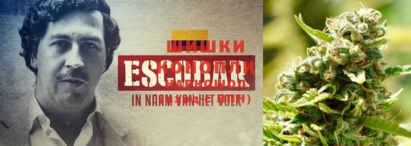 MESCALINE Аша