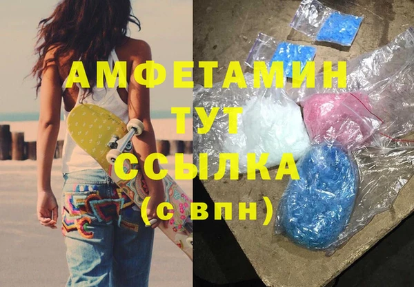 прущие грибы Ахтубинск