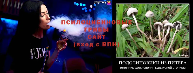 Псилоцибиновые грибы мухоморы Камышлов