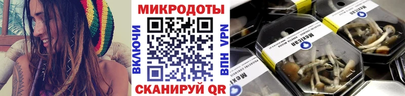 Галлюциногенные грибы Cubensis  как найти наркотики  Камышлов 