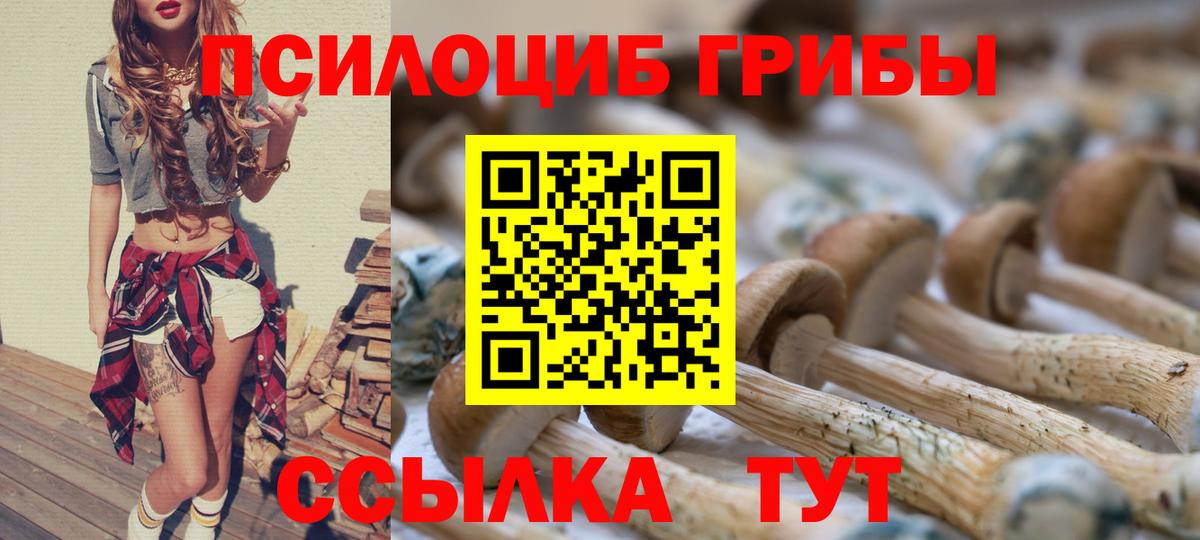 Галлюциногенные грибы Psilocybine cubensis  Вход с VPN  Галлюциногенные грибы ЛСД  Камышлов 