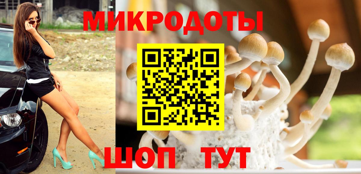 NBOMe Камышлов