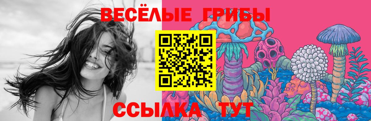 Псилоцибиновые грибы Magic Shrooms Камышлов