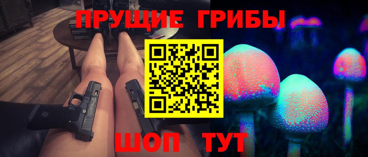 Псилоцибиновые грибы Psilocybe Камышлов