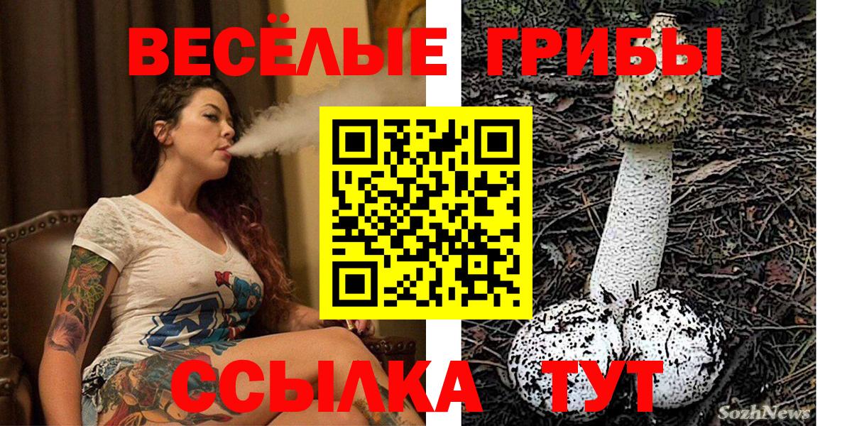 МЕТ  Конопля  Камышлов  Кокаин  Вход с VPN  NBOMe  ГАШИШ  МЕФ  