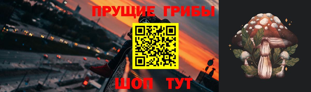 Псилоцибиновые грибы GOLDEN TEACHER  Камышлов 